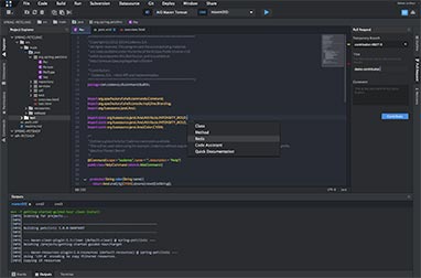 Eclipse IDE Platforms